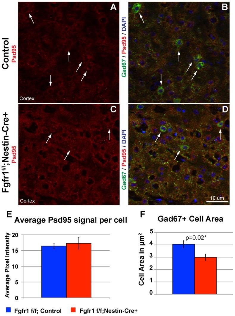 https://cdn.ncbi.nlm.nih.gov/pmc/blobs/f900/4130531/3adb0b167b33/pone.0103696.g008.jpg