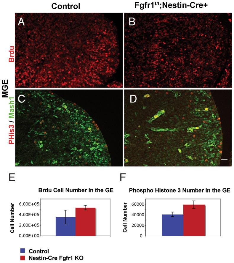 https://cdn.ncbi.nlm.nih.gov/pmc/blobs/f900/4130531/4fd1fe5fba1b/pone.0103696.g003.jpg