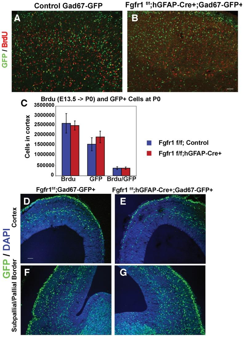 https://cdn.ncbi.nlm.nih.gov/pmc/blobs/f900/4130531/9de4ecaac412/pone.0103696.g004.jpg