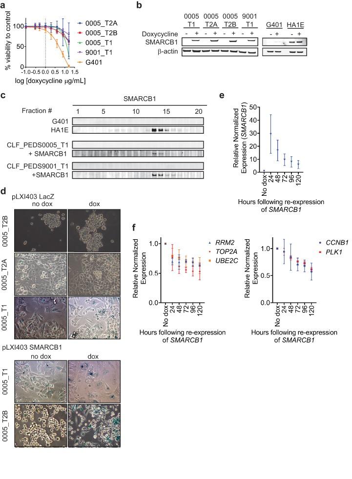 https://cdn.ncbi.nlm.nih.gov/pmc/blobs/f900/6436895/08be7f3584e3/elife-44161-fig2-figsupp1.jpg