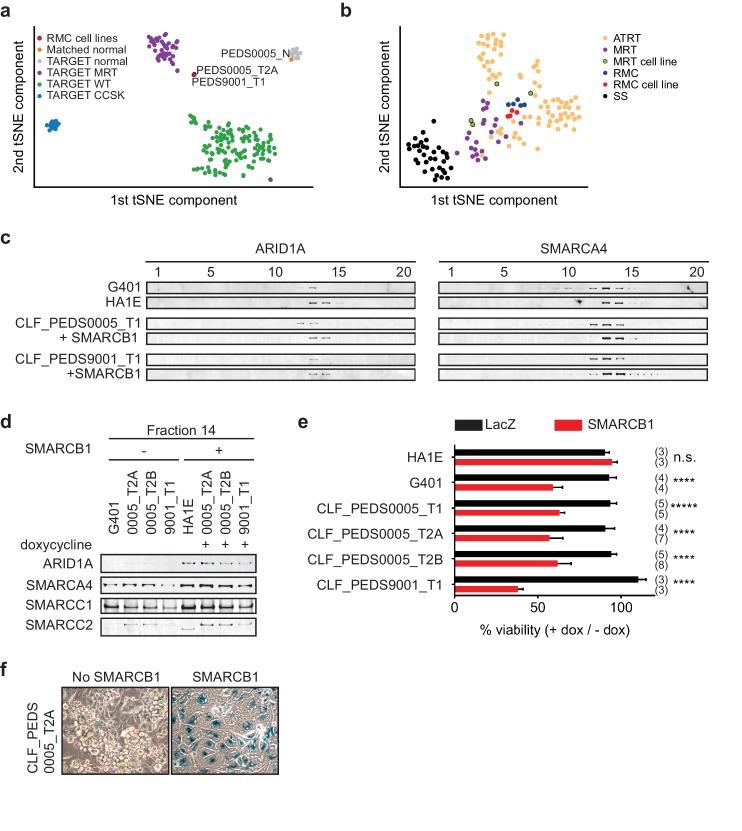 https://cdn.ncbi.nlm.nih.gov/pmc/blobs/f900/6436895/12ff20fb364c/elife-44161-fig2.jpg