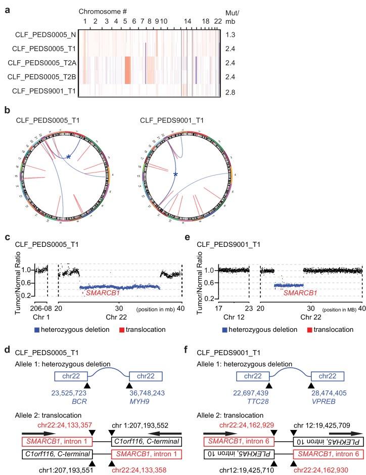 https://cdn.ncbi.nlm.nih.gov/pmc/blobs/f900/6436895/2d786d3c3b78/elife-44161-fig1.jpg