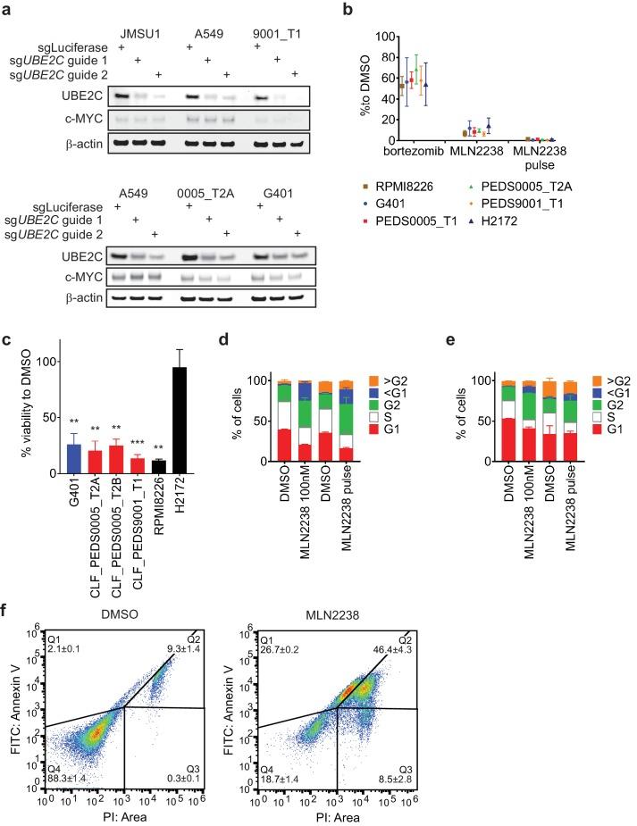 https://cdn.ncbi.nlm.nih.gov/pmc/blobs/f900/6436895/437a85dfb678/elife-44161-fig5-figsupp1.jpg