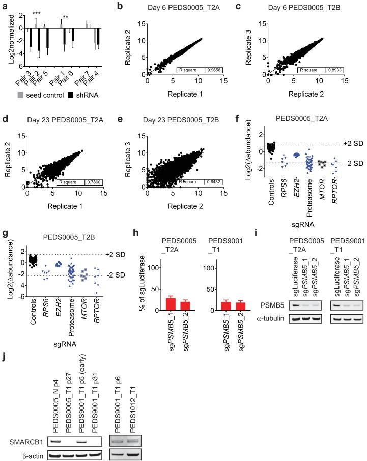 https://cdn.ncbi.nlm.nih.gov/pmc/blobs/f900/6436895/4d83c2a2ce18/elife-44161-fig3-figsupp1.jpg
