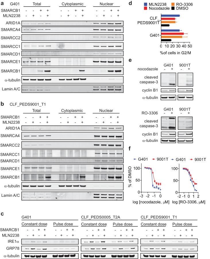 https://cdn.ncbi.nlm.nih.gov/pmc/blobs/f900/6436895/6146b46419e3/elife-44161-fig4-figsupp2.jpg