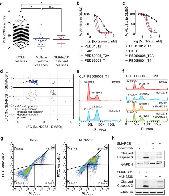 https://cdn.ncbi.nlm.nih.gov/pmc/blobs/f900/6436895/90aa4137a942/elife-44161-fig4.jpg