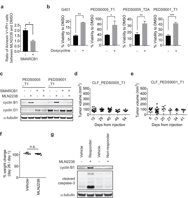 https://cdn.ncbi.nlm.nih.gov/pmc/blobs/f900/6436895/a90e71207093/elife-44161-fig5-figsupp2.jpg