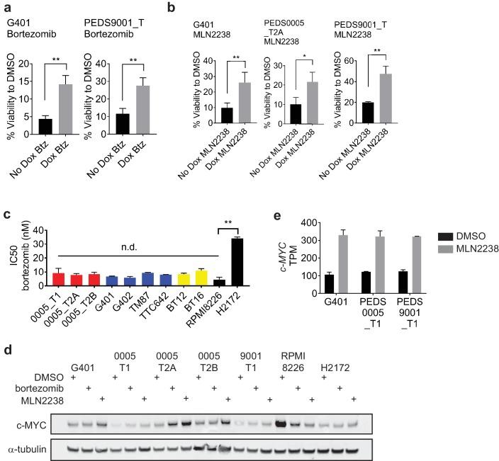 https://cdn.ncbi.nlm.nih.gov/pmc/blobs/f900/6436895/bc69930edda9/elife-44161-fig4-figsupp1.jpg