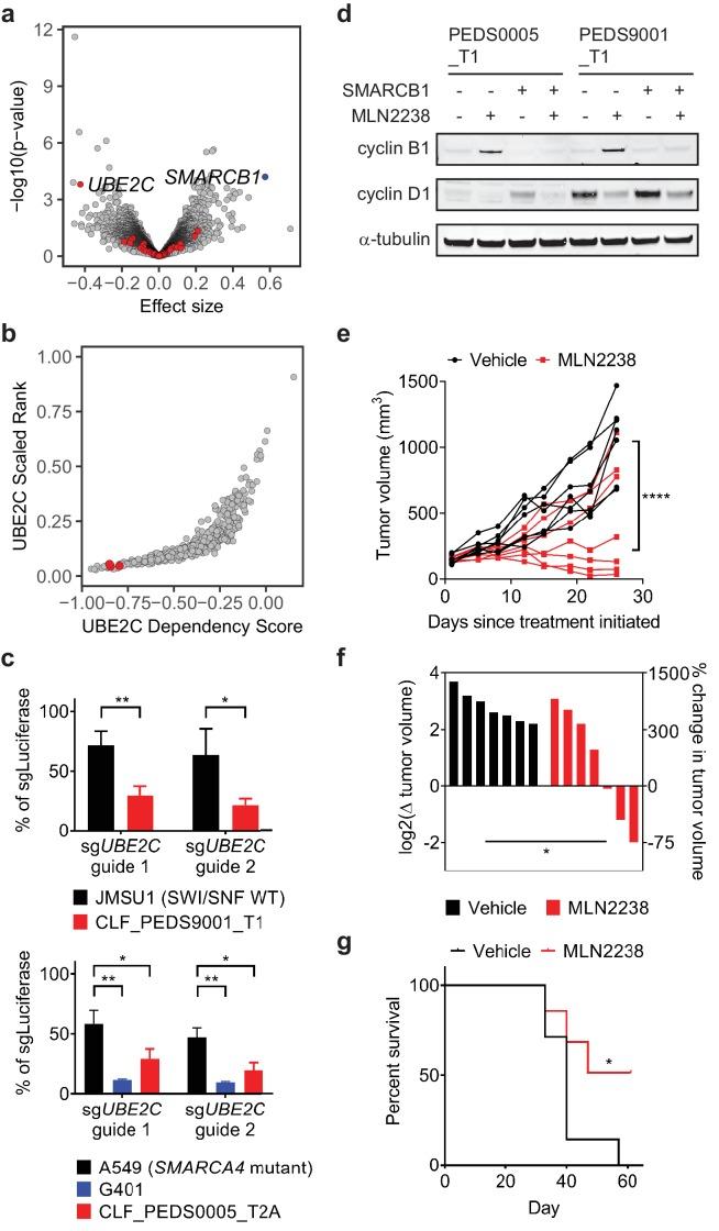 https://cdn.ncbi.nlm.nih.gov/pmc/blobs/f900/6436895/bf982ea9679e/elife-44161-fig5.jpg