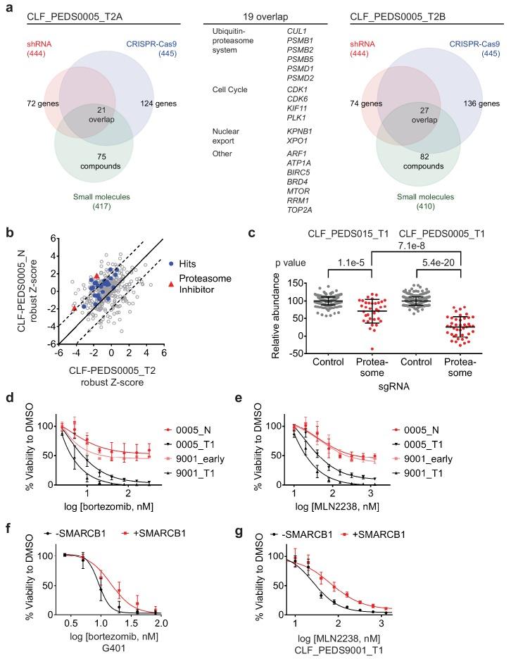 https://cdn.ncbi.nlm.nih.gov/pmc/blobs/f900/6436895/fc7f5ad6536e/elife-44161-fig3.jpg