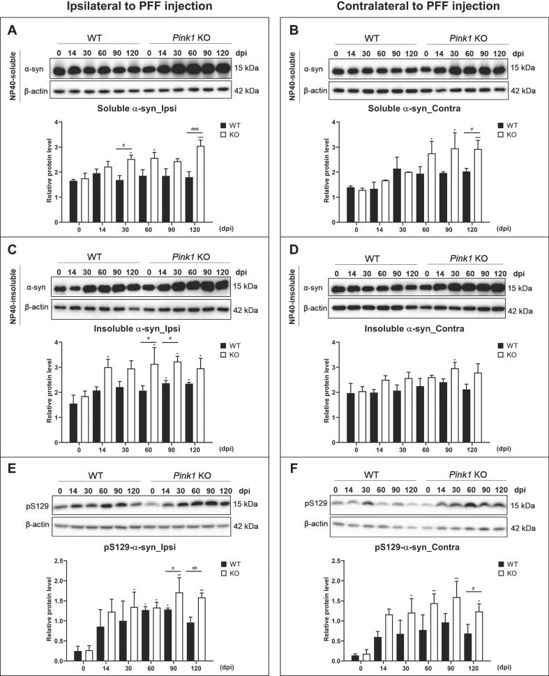 https://cdn.ncbi.nlm.nih.gov/pmc/blobs/f900/9198758/c056c06a29c5/jpd-12-jpd213065-g003.jpg