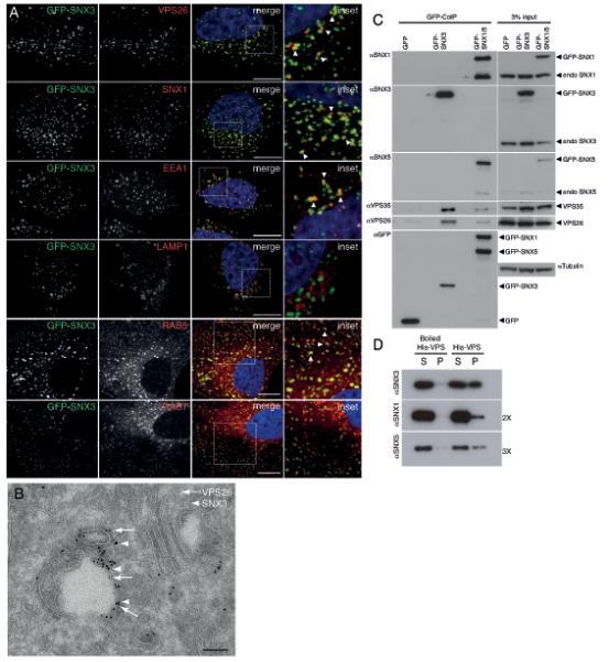 https://cdn.ncbi.nlm.nih.gov/pmc/blobs/f903/4052212/6a128d122ad2/emss-53730-f0003.jpg