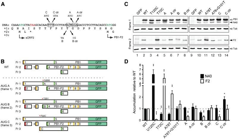 https://cdn.ncbi.nlm.nih.gov/pmc/blobs/f905/3177217/acd23bdcdf16/gkr487f5.jpg