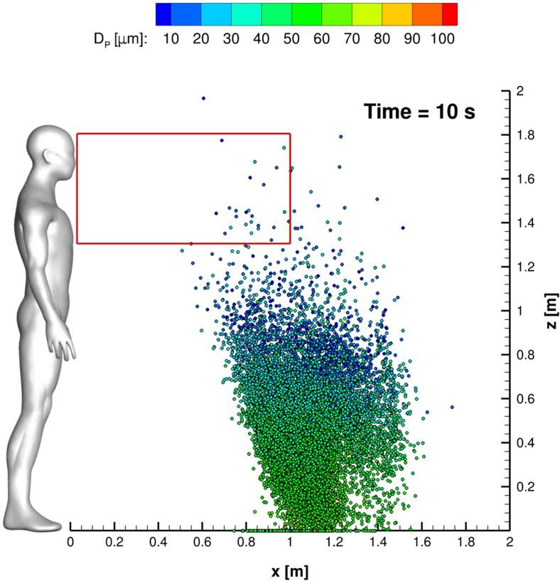 https://cdn.ncbi.nlm.nih.gov/pmc/blobs/f905/8721565/c27302798095/PHFLE6-000033-031905_1-g014.jpg