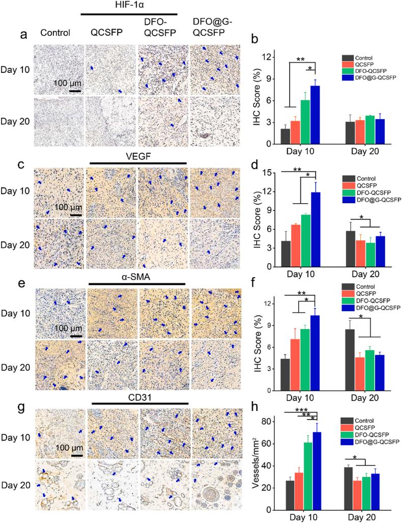 https://cdn.ncbi.nlm.nih.gov/pmc/blobs/f906/9254353/477d5a1da513/gr6.jpg
