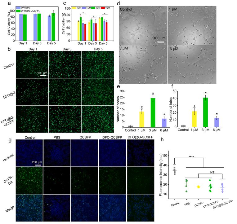 https://cdn.ncbi.nlm.nih.gov/pmc/blobs/f906/9254353/5642eb413101/gr4.jpg