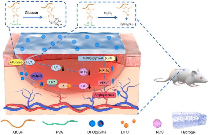https://cdn.ncbi.nlm.nih.gov/pmc/blobs/f906/9254353/88597b35a28e/ga1.jpg