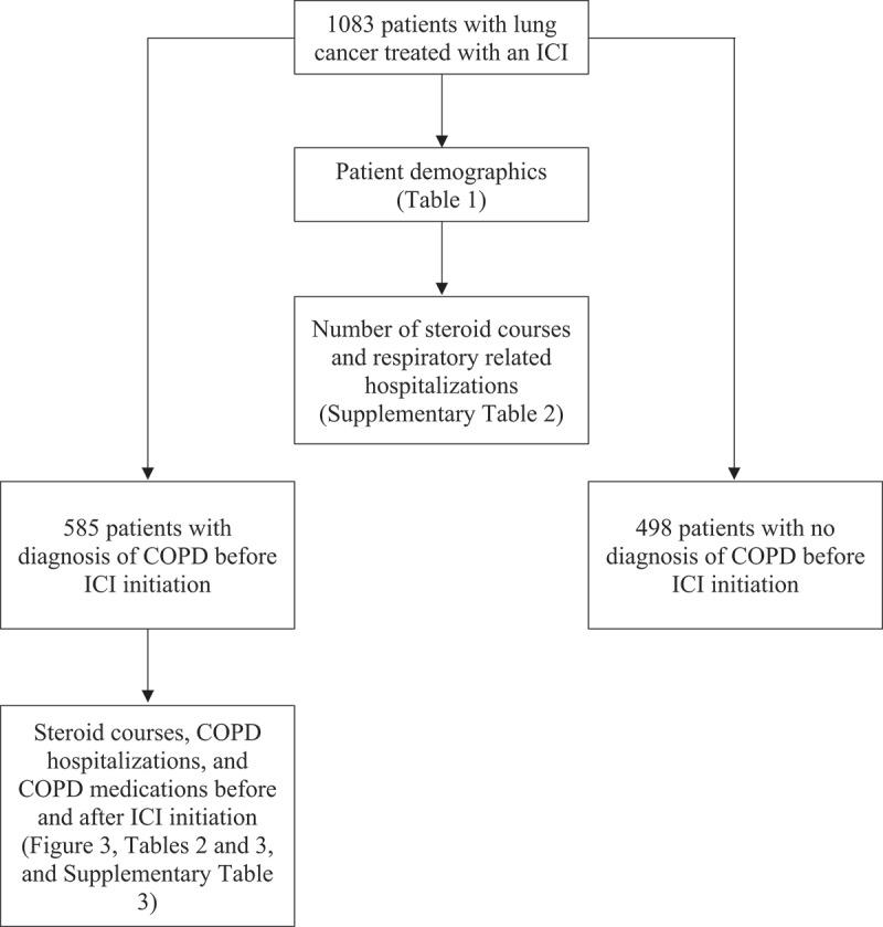 https://cdn.ncbi.nlm.nih.gov/pmc/blobs/f908/11849934/0f1ec3dc93f6/KONI_A_2469375_F0002_B.jpg