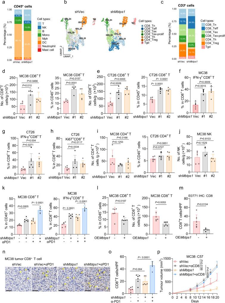 https://cdn.ncbi.nlm.nih.gov/pmc/blobs/f908/12043911/7192f609a608/41467_2025_59193_Fig3_HTML.jpg