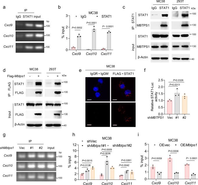 https://cdn.ncbi.nlm.nih.gov/pmc/blobs/f908/12043911/a98171a8f3a4/41467_2025_59193_Fig5_HTML.jpg