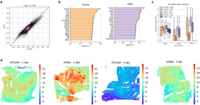 https://cdn.ncbi.nlm.nih.gov/pmc/blobs/f90a/11306094/49e1143519e5/41564_2024_1755_Fig11_ESM.jpg