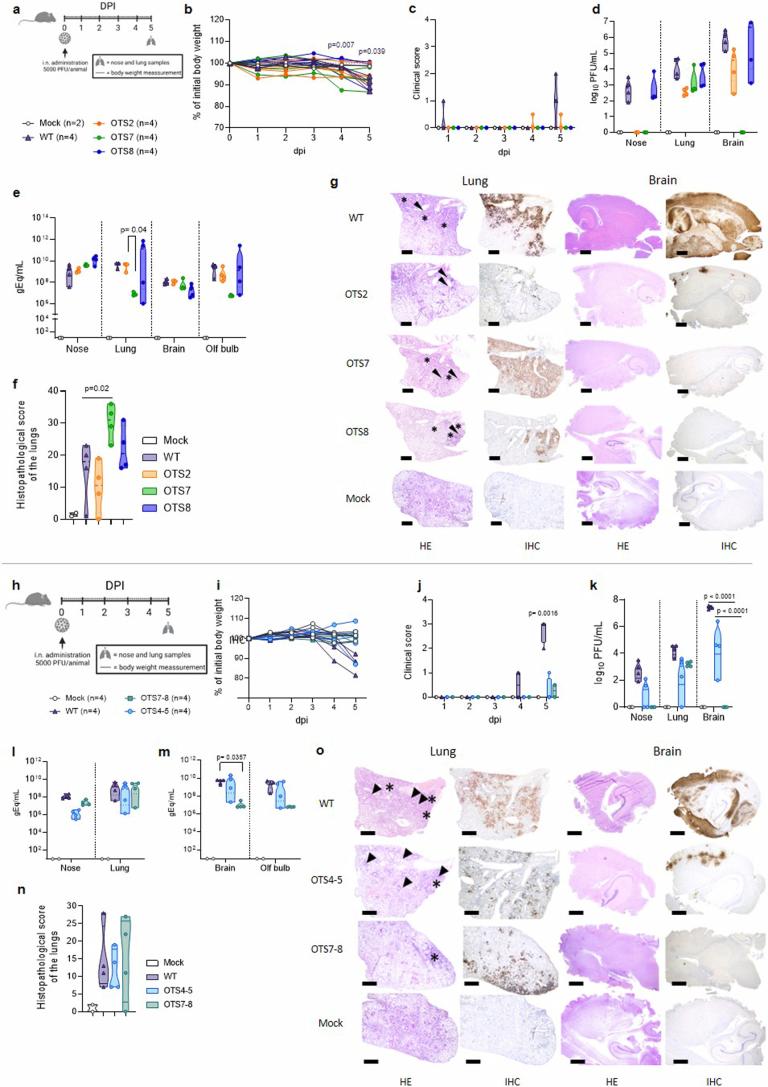https://cdn.ncbi.nlm.nih.gov/pmc/blobs/f90a/11306094/5c41de5a375d/41564_2024_1755_Fig8_ESM.jpg