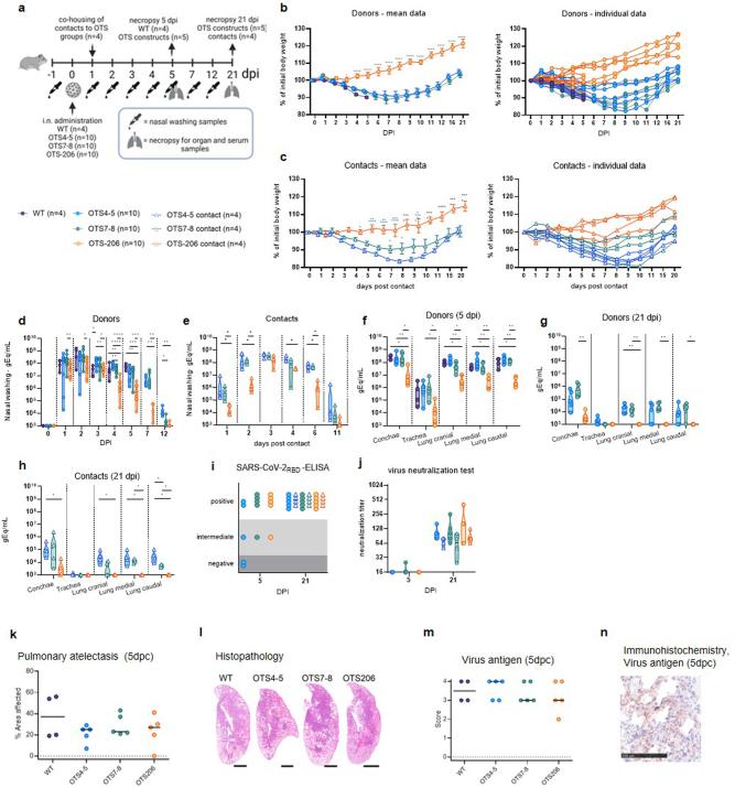 https://cdn.ncbi.nlm.nih.gov/pmc/blobs/f90a/11306094/65b2138bd72b/41564_2024_1755_Fig9_ESM.jpg