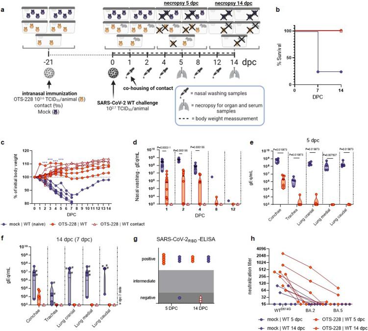 https://cdn.ncbi.nlm.nih.gov/pmc/blobs/f90a/11306094/8c69d8eb62d8/41564_2024_1755_Fig14_ESM.jpg
