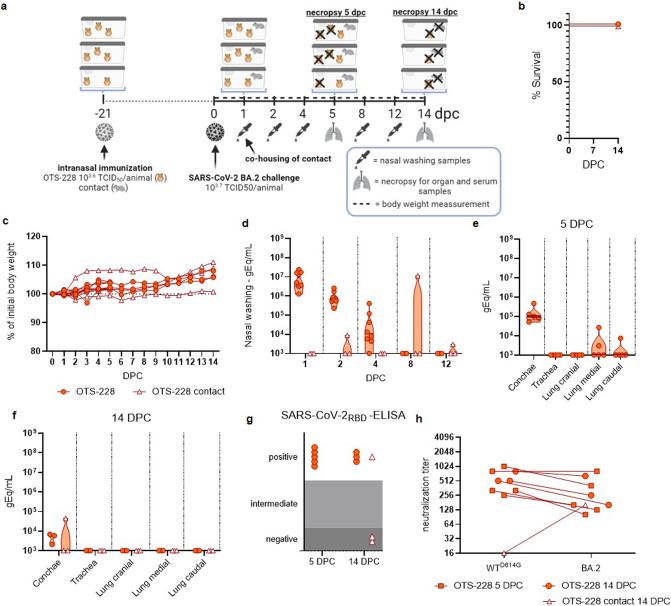 https://cdn.ncbi.nlm.nih.gov/pmc/blobs/f90a/11306094/9a4dbfd97a1d/41564_2024_1755_Fig15_ESM.jpg