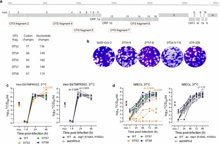 https://cdn.ncbi.nlm.nih.gov/pmc/blobs/f90a/11306094/e6c610809b42/41564_2024_1755_Fig7_ESM.jpg