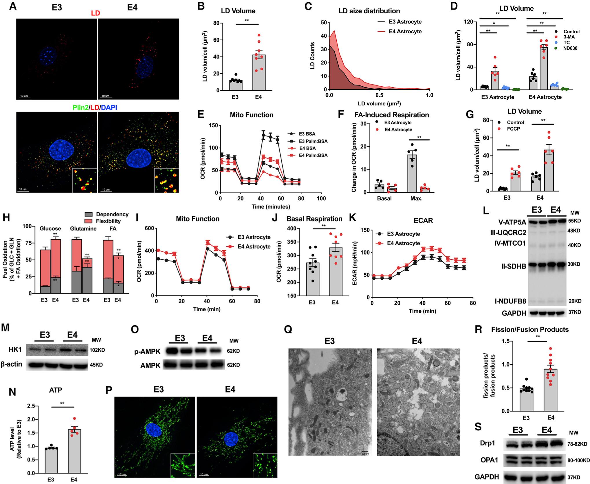 https://cdn.ncbi.nlm.nih.gov/pmc/blobs/f90f/7837265/f919fdb07a81/nihms-1660507-f0007.jpg