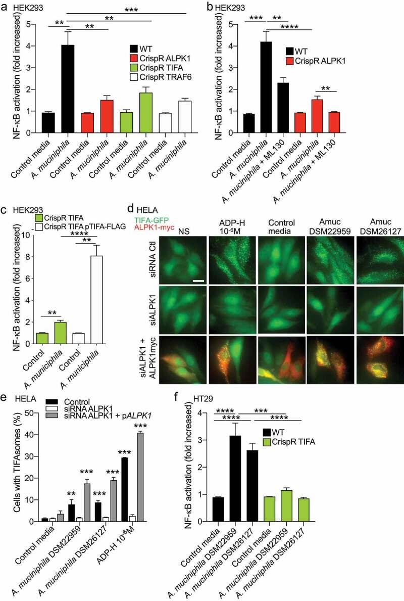 https://cdn.ncbi.nlm.nih.gov/pmc/blobs/f90f/9427033/733773bbf109/KGMI_A_2110639_F0002_OC.jpg