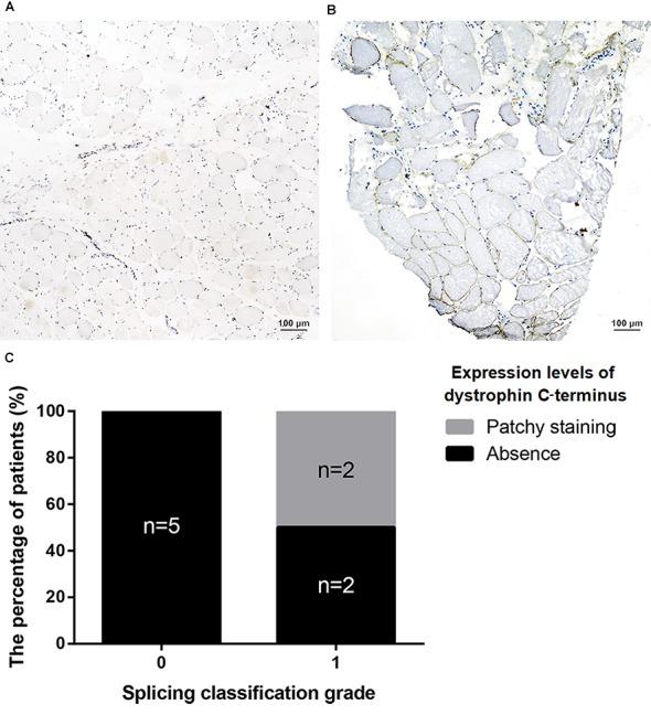 https://cdn.ncbi.nlm.nih.gov/pmc/blobs/f910/6388391/fd1d73eb055e/fgene-10-00114-g009.jpg