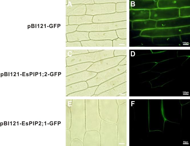 https://cdn.ncbi.nlm.nih.gov/pmc/blobs/f911/6745184/d30bd530e1ab/peerj-07-7664-g004.jpg