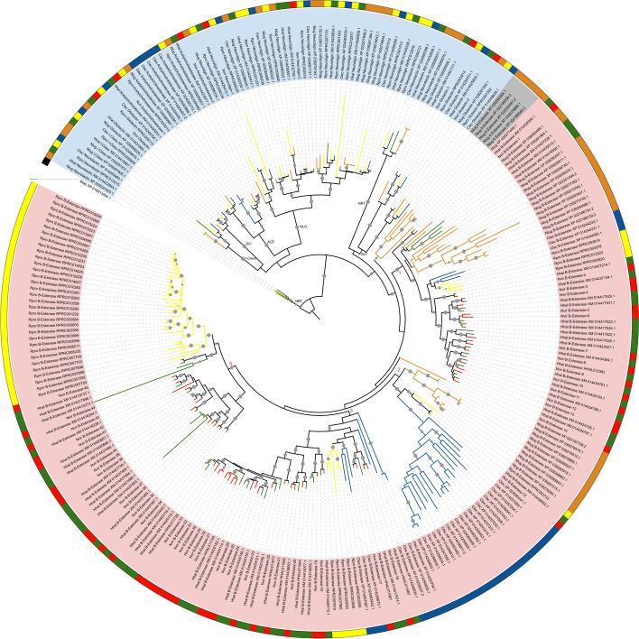 https://cdn.ncbi.nlm.nih.gov/pmc/blobs/f911/9670383/1d30f668863b/12864_2022_8974_Fig3_HTML.jpg