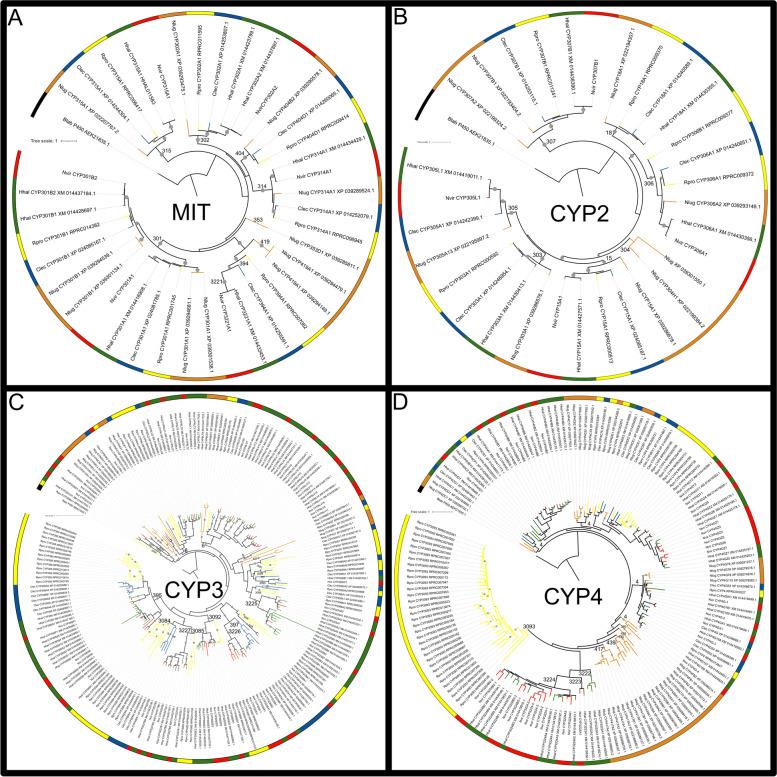 https://cdn.ncbi.nlm.nih.gov/pmc/blobs/f911/9670383/b4916cab2f1f/12864_2022_8974_Fig2_HTML.jpg