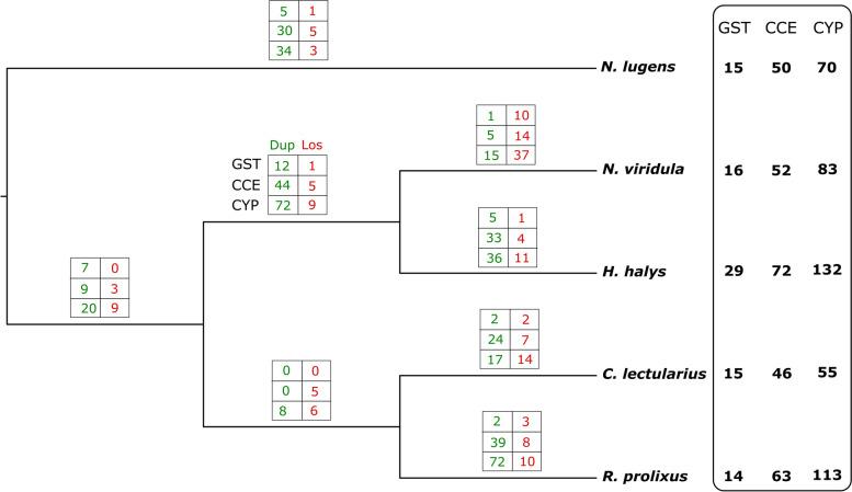 https://cdn.ncbi.nlm.nih.gov/pmc/blobs/f911/9670383/f9b04aefaa9e/12864_2022_8974_Fig1_HTML.jpg