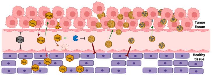 https://cdn.ncbi.nlm.nih.gov/pmc/blobs/f914/12387868/90a7dce7460f/jfb-16-00285-g009.jpg