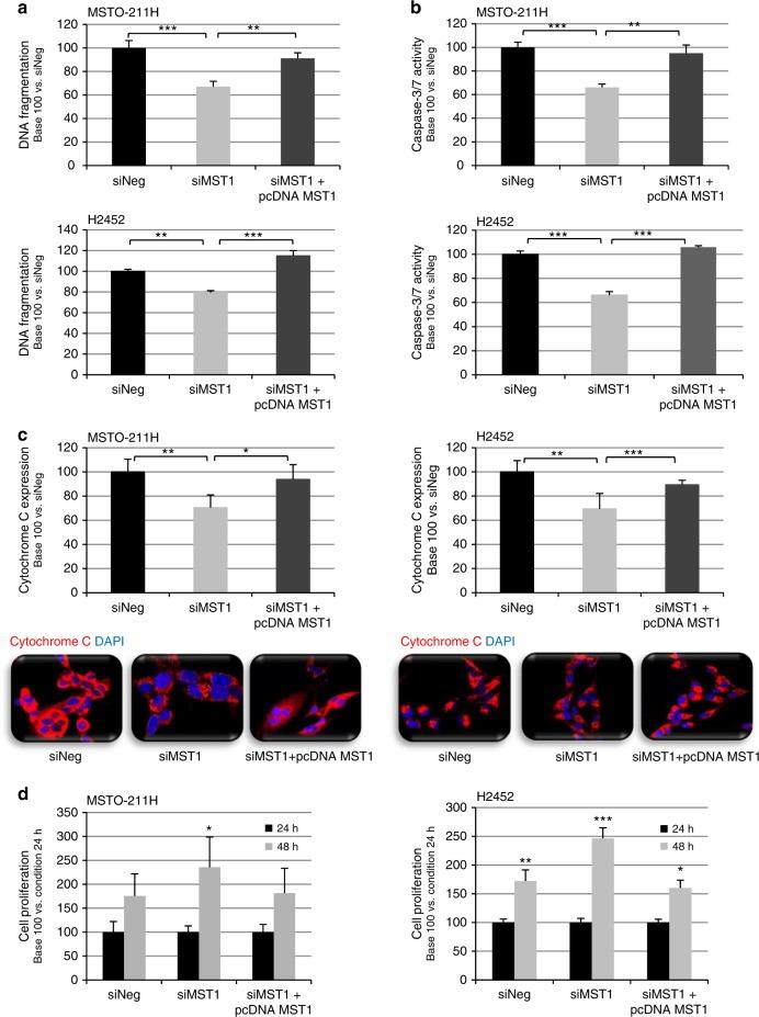 https://cdn.ncbi.nlm.nih.gov/pmc/blobs/f914/6461894/87dc49116ce2/41416_2019_379_Fig4_HTML.jpg