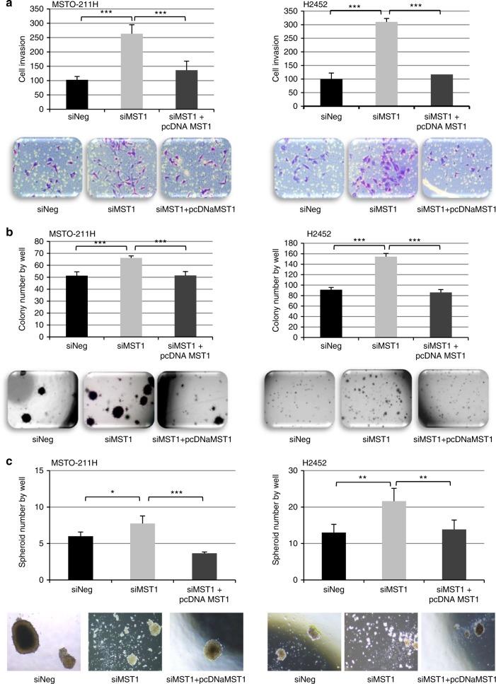 https://cdn.ncbi.nlm.nih.gov/pmc/blobs/f914/6461894/8a3f762b0abc/41416_2019_379_Fig3_HTML.jpg