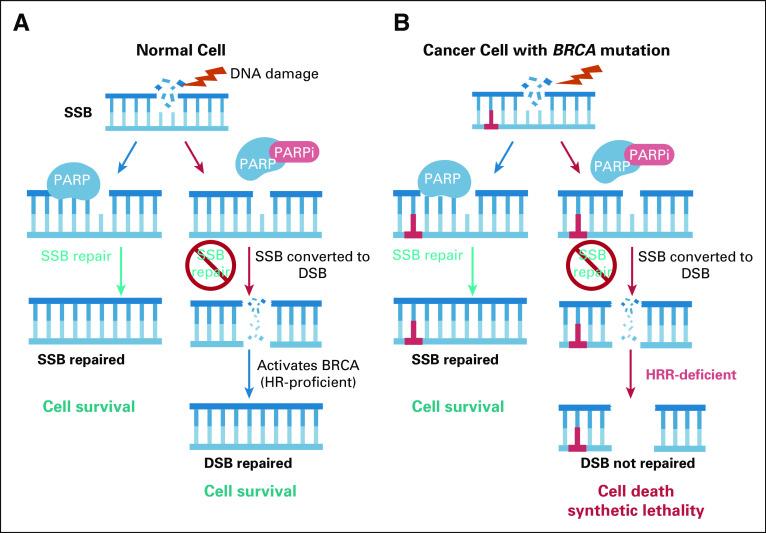 https://cdn.ncbi.nlm.nih.gov/pmc/blobs/f914/8547927/29786d253cc1/po-5-po.21.00152-g002.jpg