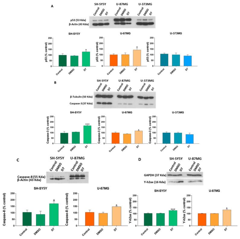 https://cdn.ncbi.nlm.nih.gov/pmc/blobs/f915/11858089/7fdade13feee/molecules-30-00972-g007.jpg
