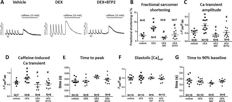 https://cdn.ncbi.nlm.nih.gov/pmc/blobs/f918/6733454/7d337ccec4cb/pone.0222341.g002.jpg