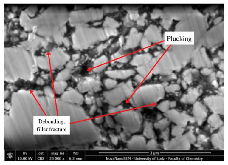 https://cdn.ncbi.nlm.nih.gov/pmc/blobs/f919/9182013/81e02685518d/molecules-27-03511-g006.jpg