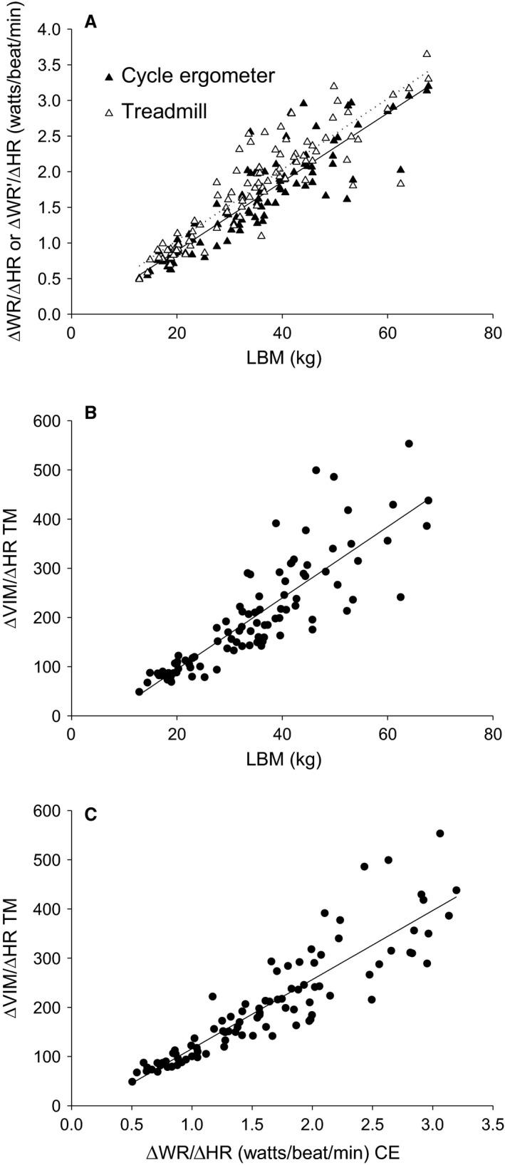 https://cdn.ncbi.nlm.nih.gov/pmc/blobs/f91b/6796805/650ae832eb84/PHY2-7-e14178-g005.jpg
