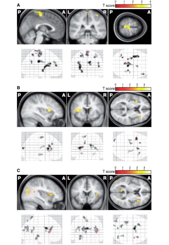 https://cdn.ncbi.nlm.nih.gov/pmc/blobs/f91d/3326253/07737c316669/aws024f1.jpg