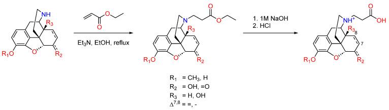https://cdn.ncbi.nlm.nih.gov/pmc/blobs/f91f/11277321/b48bff2bec32/ijms-25-07781-sch004.jpg