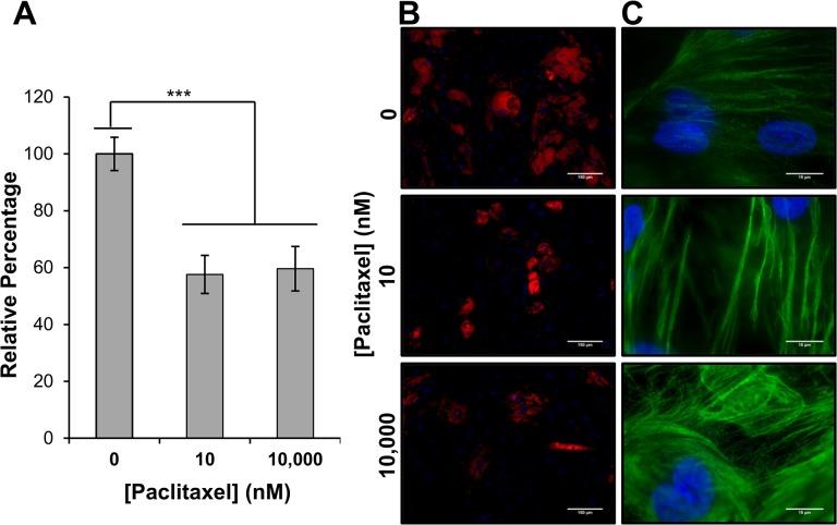 https://cdn.ncbi.nlm.nih.gov/pmc/blobs/f920/4452335/2d49bdef11db/pone.0128511.g004.jpg