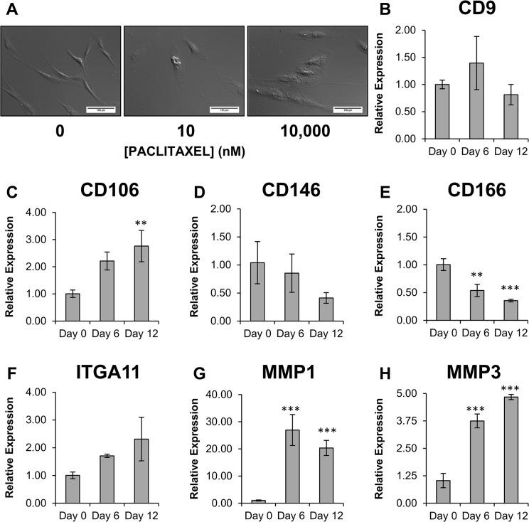 https://cdn.ncbi.nlm.nih.gov/pmc/blobs/f920/4452335/3d6d4ce7528a/pone.0128511.g003.jpg