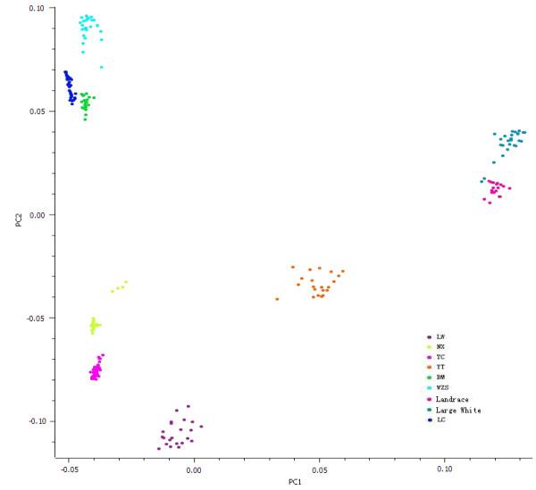 https://cdn.ncbi.nlm.nih.gov/pmc/blobs/f921/3898232/967305fdea00/1471-2156-15-7-1.jpg
